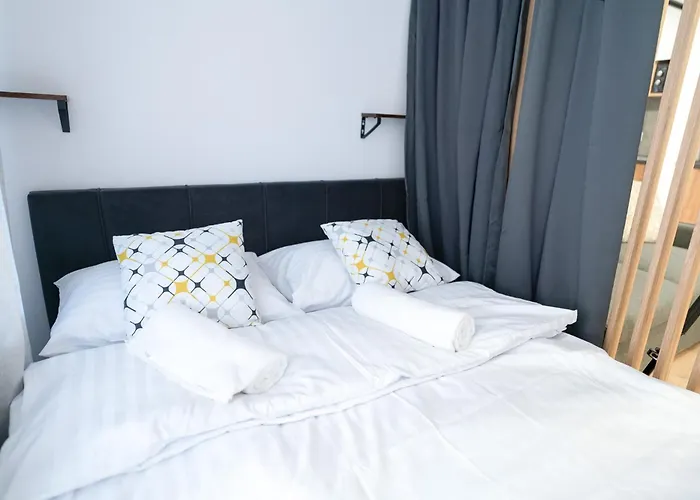 Flow - Swietego Pawla 10 3*