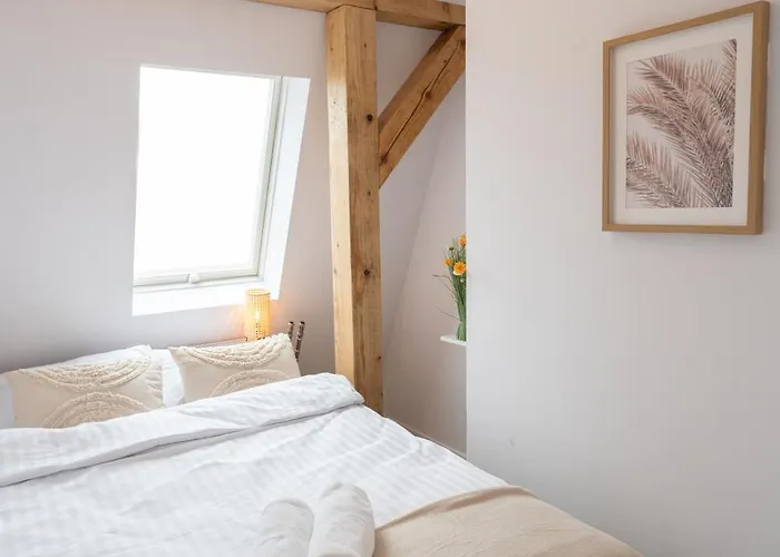 Flow - Swietego Pawla 10 3*