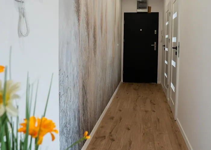 Flow - Swietego Pawla 10 Apart Otel