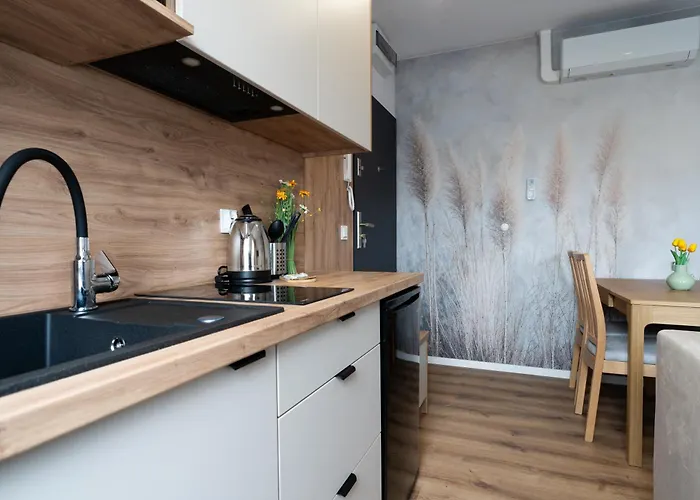 Flow - Swietego Pawla 10 Apart Otel Katoviçe